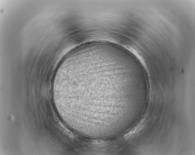 X0000088830799200706281754