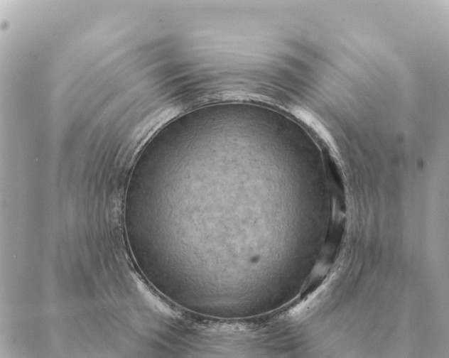 X0000088830801200706281754