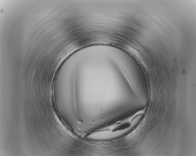 X0000088830802200706281754