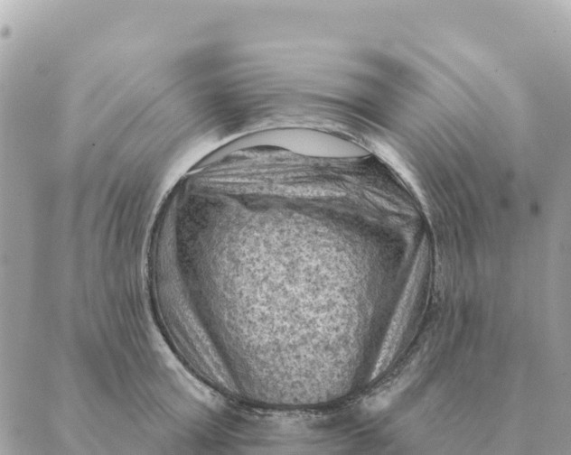 X0000088830803200706281754