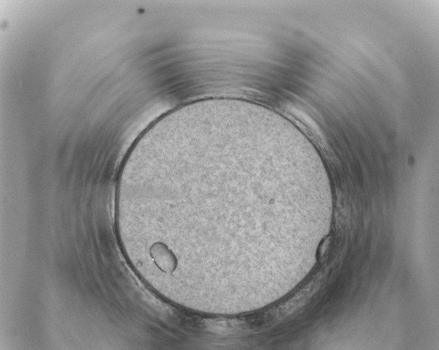 X0000088830804200706281754