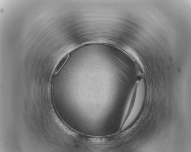 X0000088830805200706281754