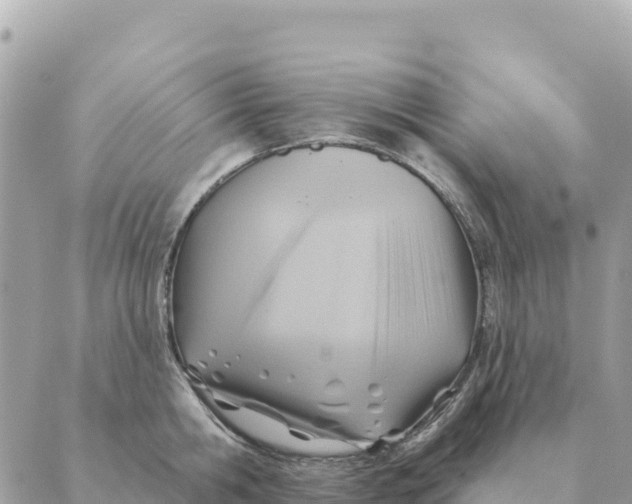 X0000088830806200706281754