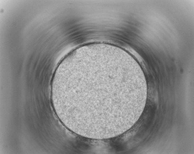 X0000088830807200706281754