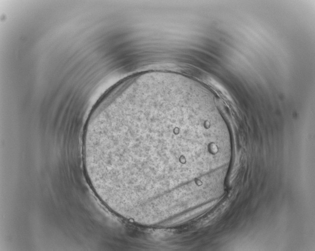 X0000088830808200706281754