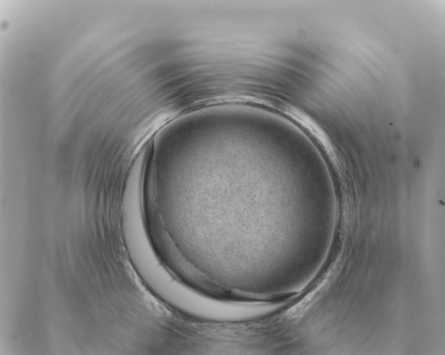 X0000088830809200706281754