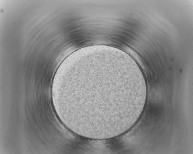 X0000088830810200706281754