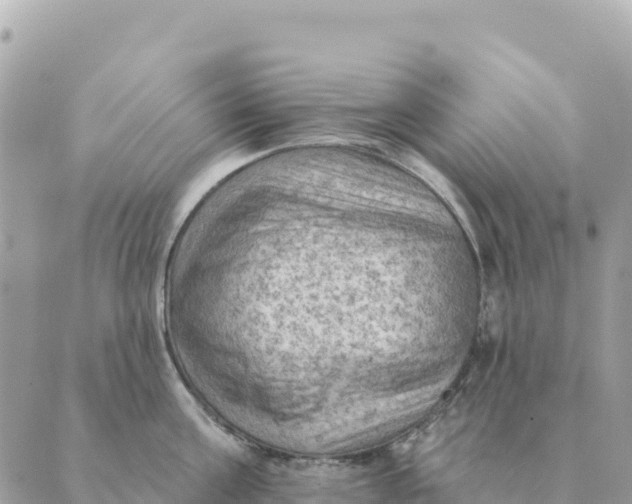 X0000088830811200706281754