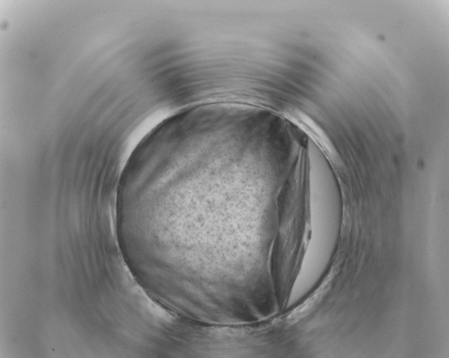 X0000088830812200706281754