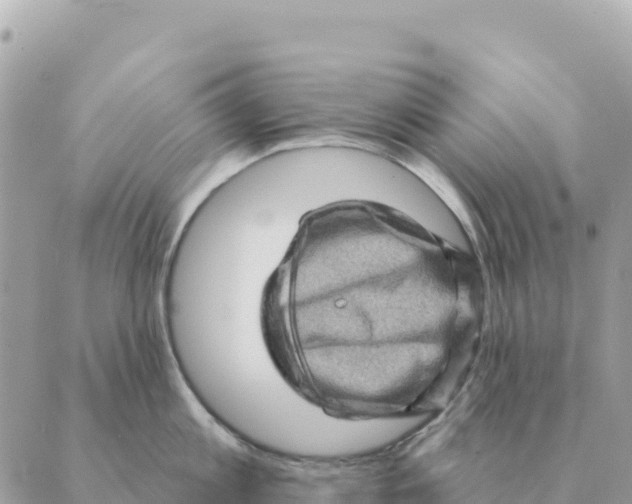 X0000088830813200706281754