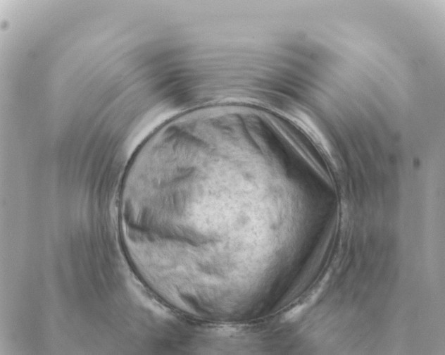 X0000088830814200706281754