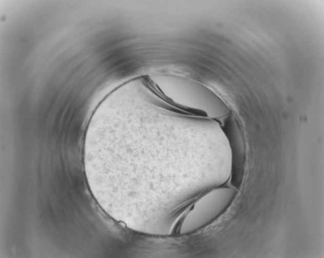 X0000088830816200706281754