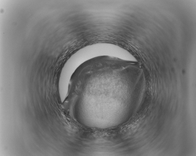 X0000088830818200706281753