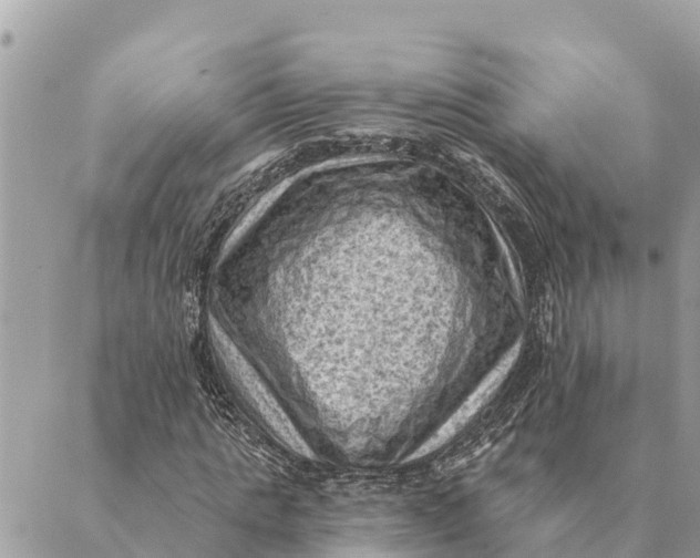 X0000088830821200706281753