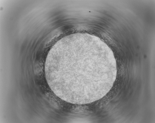 X0000088830824200706281753