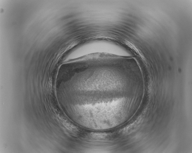 X0000088830825200706281753