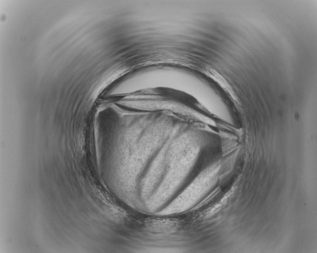 X0000088830826200706281753