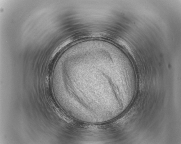 X0000088830827200706281753