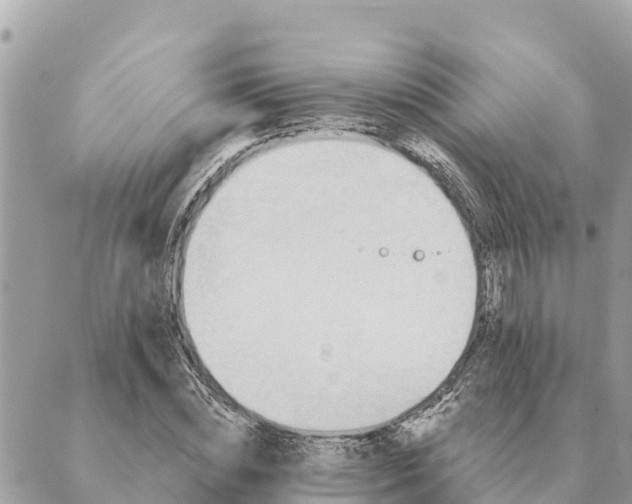 X0000088830828200706281754