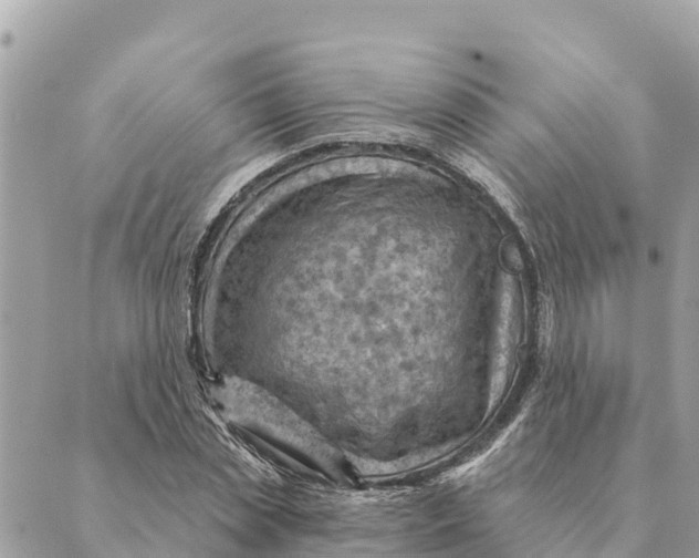 X0000088830829200706281754