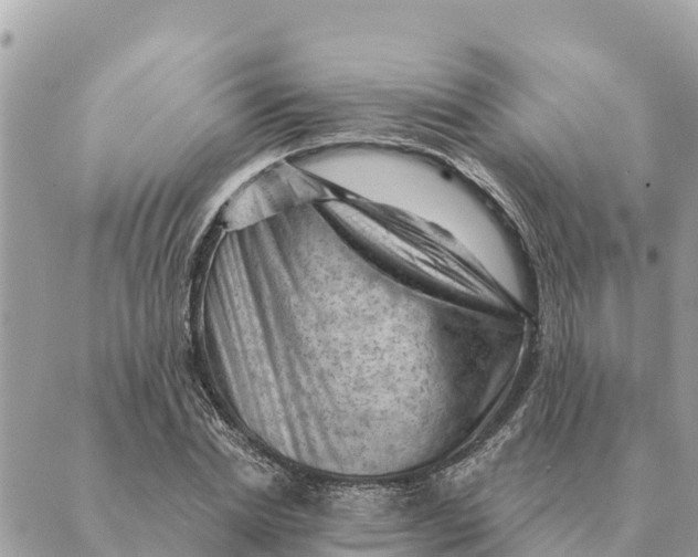 X0000088830830200706281754