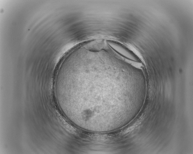 X0000088830831200706281754