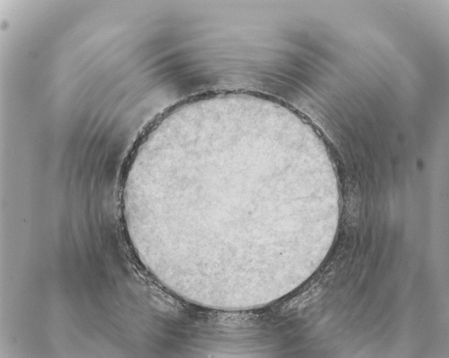 X0000088830832200706281754