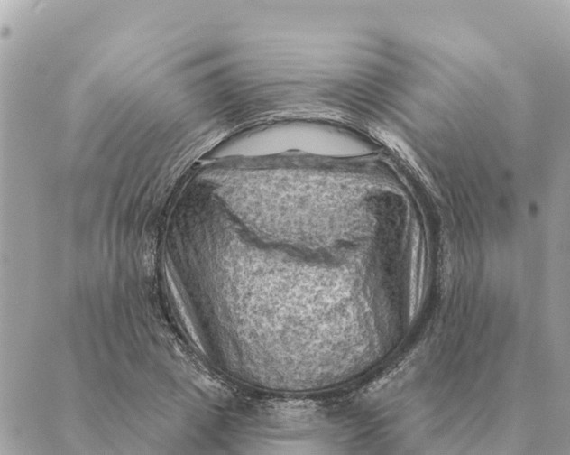 X0000088830833200706281754