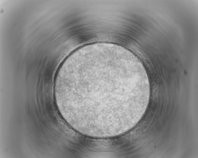 X0000088830836200706281754