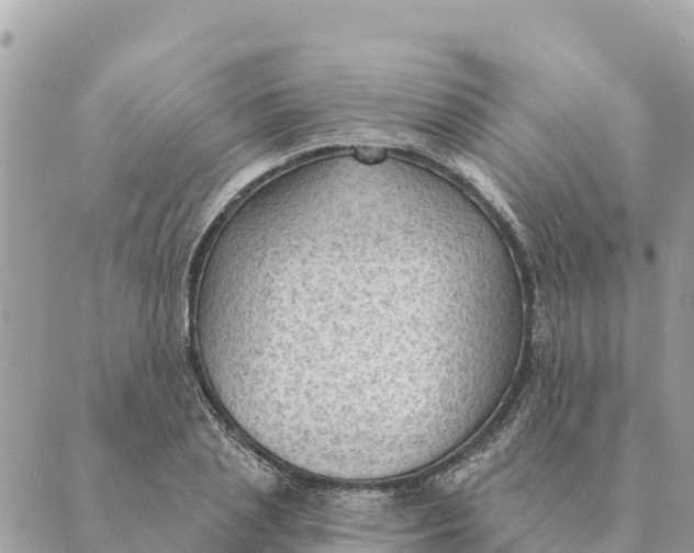 X0000088830837200706281754