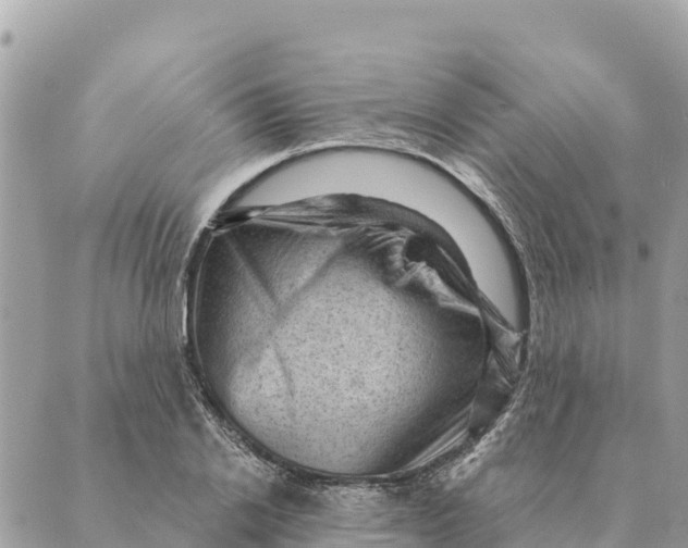 X0000088830838200706281754