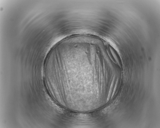 X0000088830839200706281754