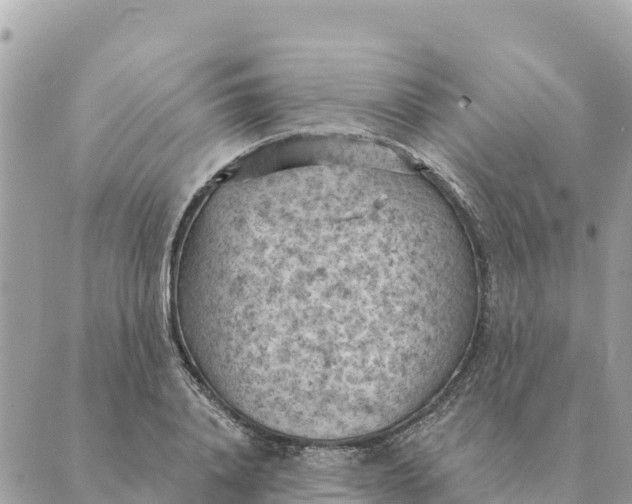 X0000088830840200706281754