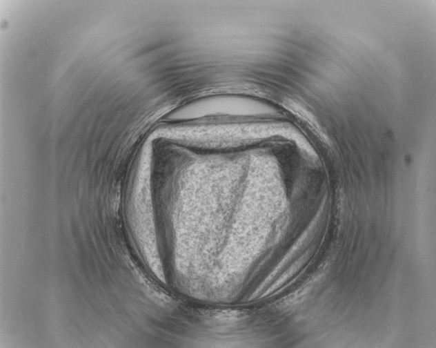 X0000088830841200706281754