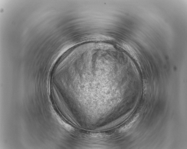 X0000088830843200706281754