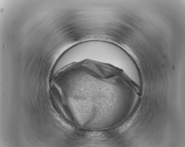 X0000088830846200706281754