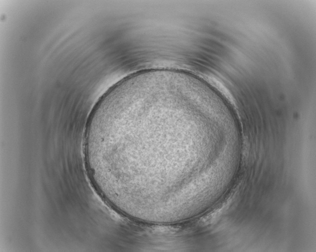 X0000088830847200706281754