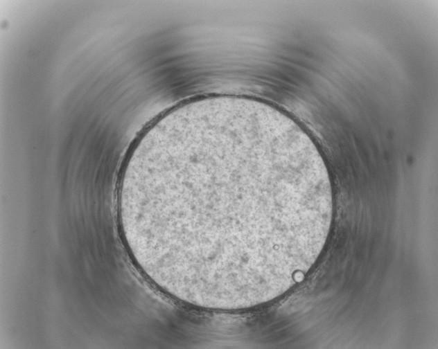 X0000088830848200706281754