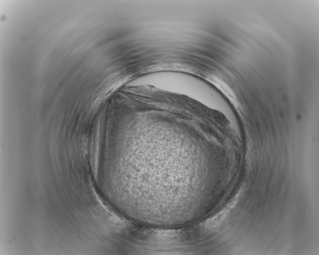 X0000088830849200706281754