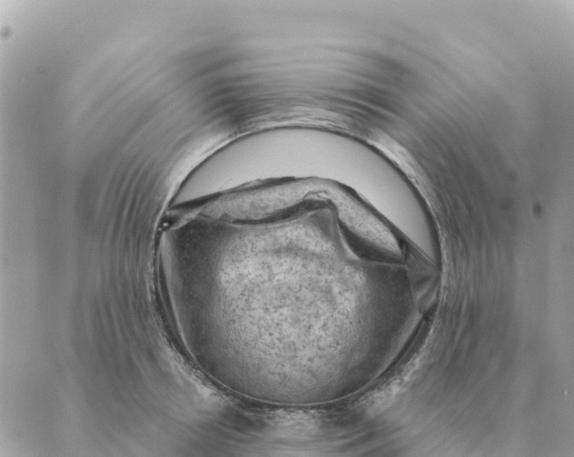 X0000088830850200706281754