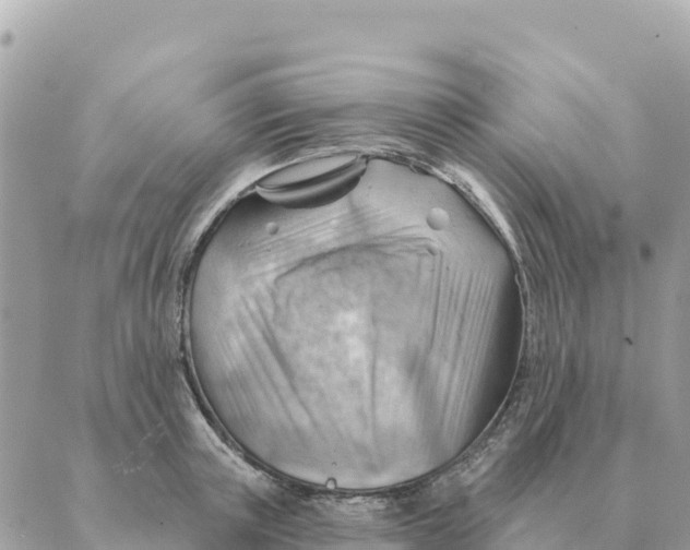 X0000088830851200706281754