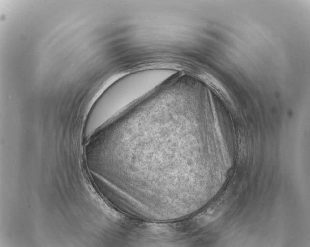 X0000088830852200706281754