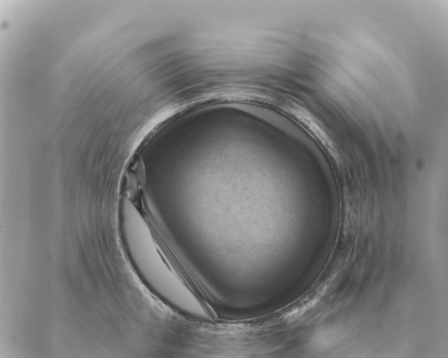 X0000088830853200706281754