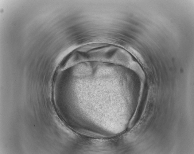 X0000088830854200706281754