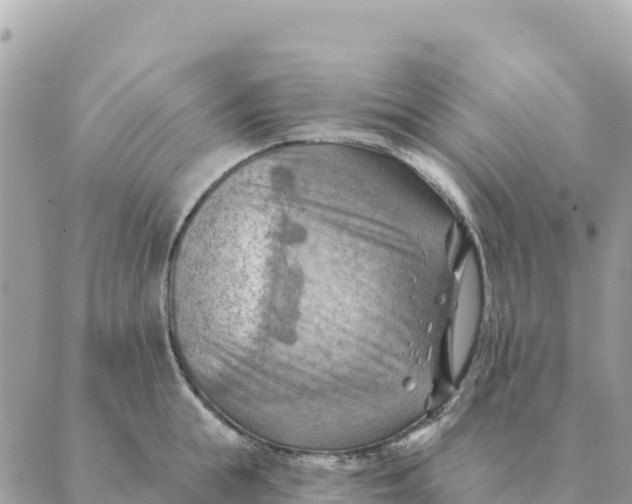 X0000088830855200706281754