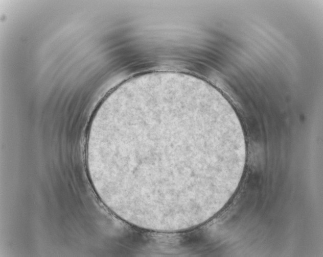 X0000088830856200706281754