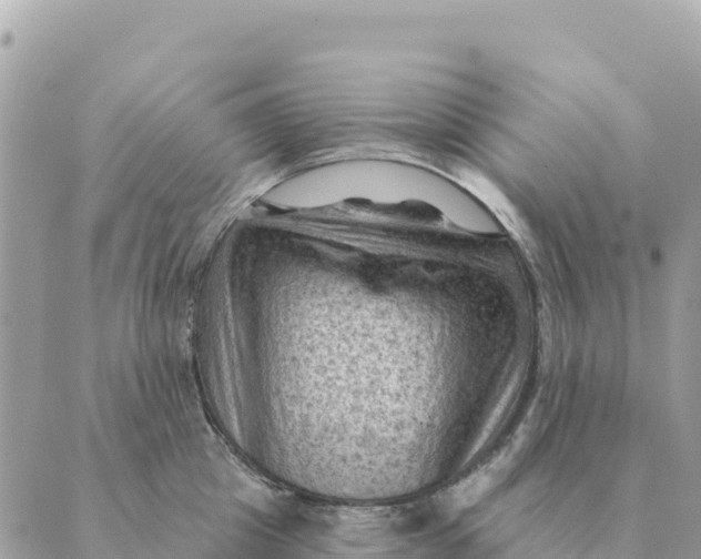 X0000088830857200706281754