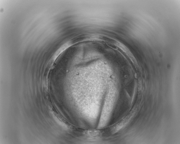 X0000088830858200706281754