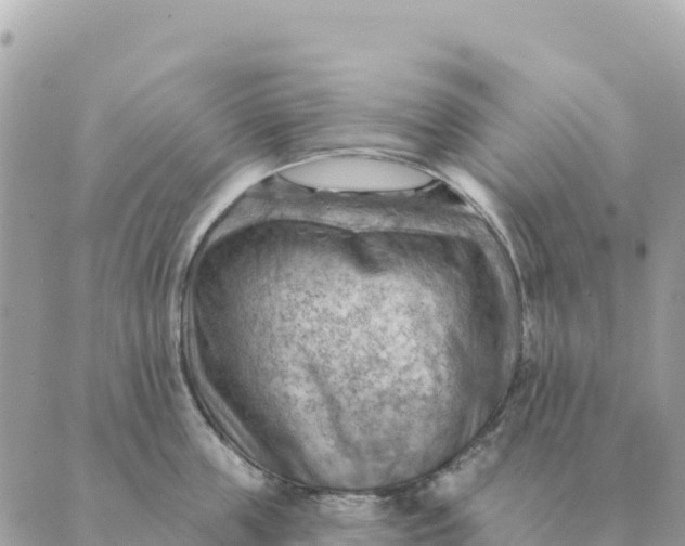 X0000088830859200706281754