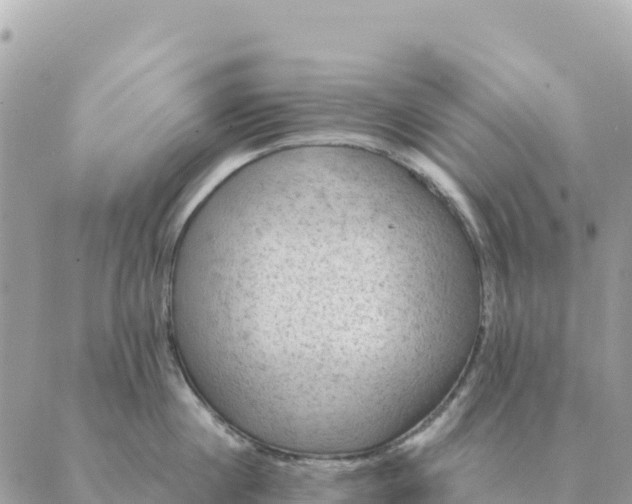 X0000088830860200706281754